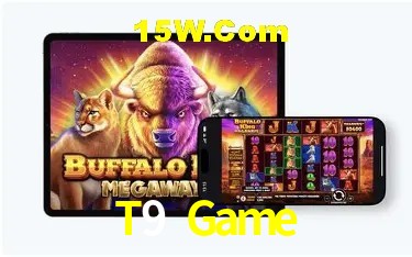 Experiência VIP T9 Game